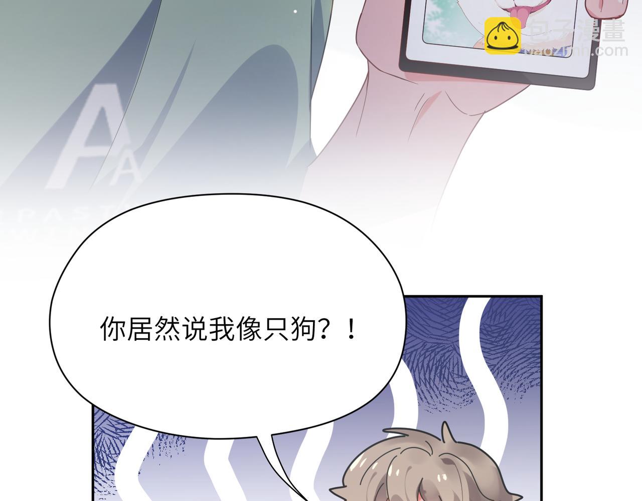 第31话  我很喜欢这只小狗(1/3)-第33话