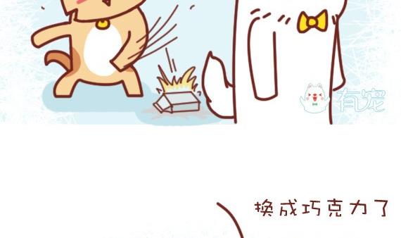 🍜有宠百科 第1话 第4页