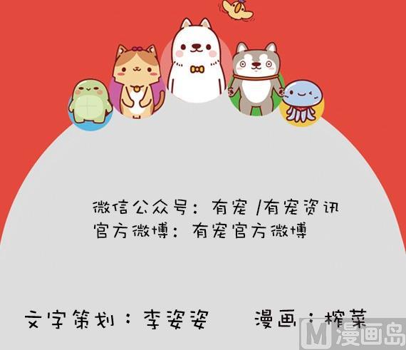 🍜有宠百科 第1话 第9页