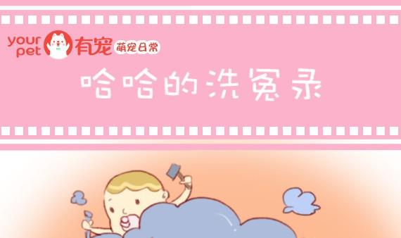 🍜有宠百科 第11话 第1页