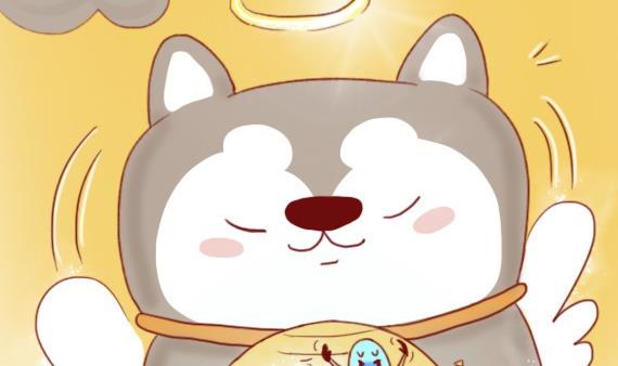 🍜有宠百科 第11话 第10页