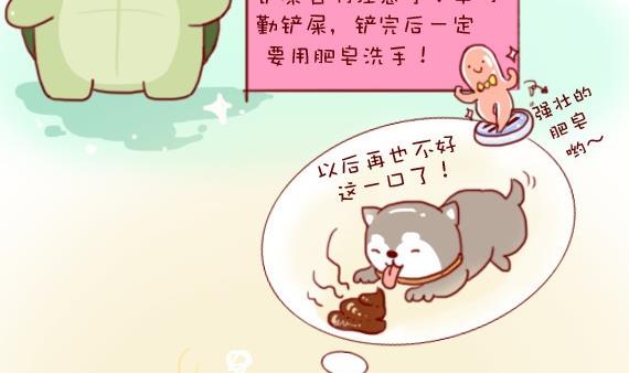 🍜有宠百科 第11话 第14页