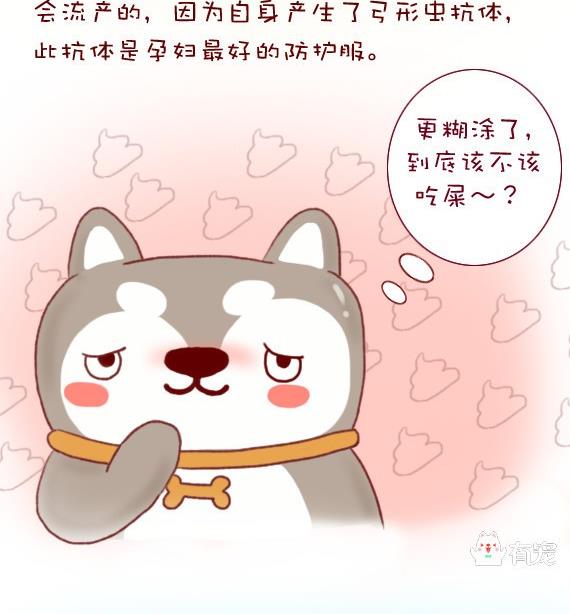 🍜有宠百科 第11话 第16页