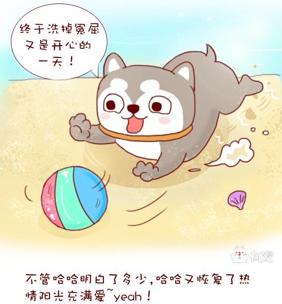 🍜有宠百科 第11话 第17页