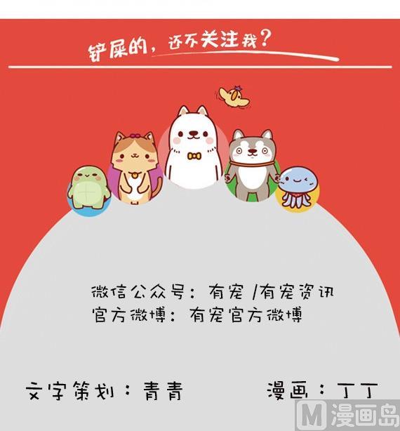 🍜有宠百科 第11话 第18页