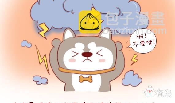 🍜有宠百科 第11话 第2页