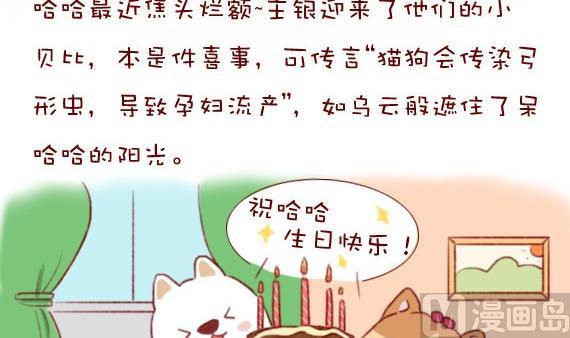 🍜有宠百科 第11话 第3页