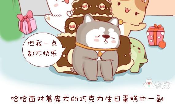 🍜有宠百科 第11话 第4页