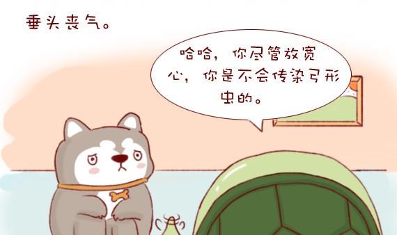 🍜有宠百科 第11话 第5页