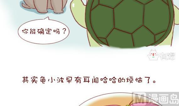 🍜有宠百科 第11话 第6页
