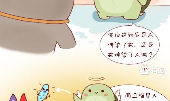 🍜有宠百科 第11话 第8页