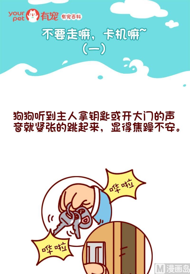 🍜有宠百科 第101话 第1页