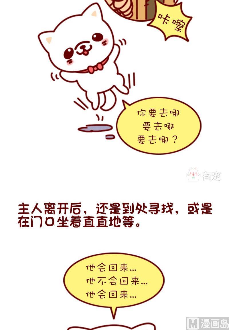 🍜有宠百科 第101话 第2页