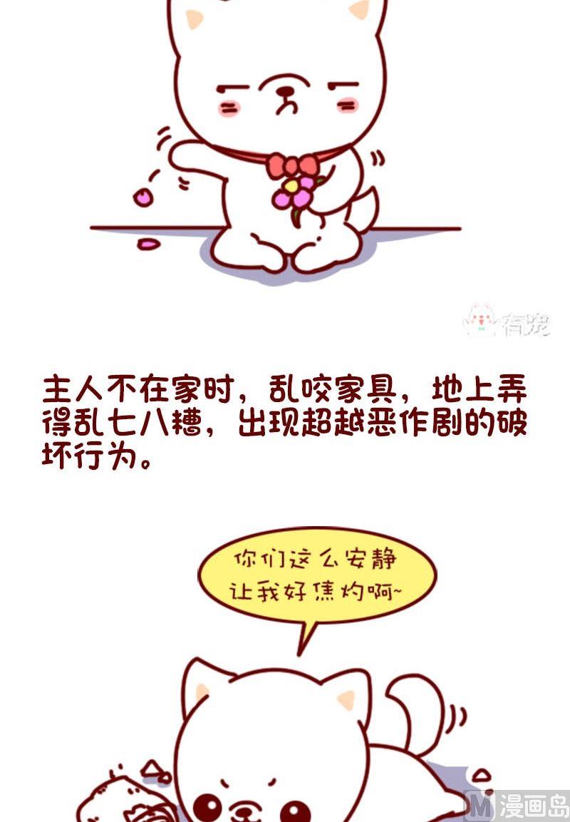 🍜有宠百科 第101话 第3页