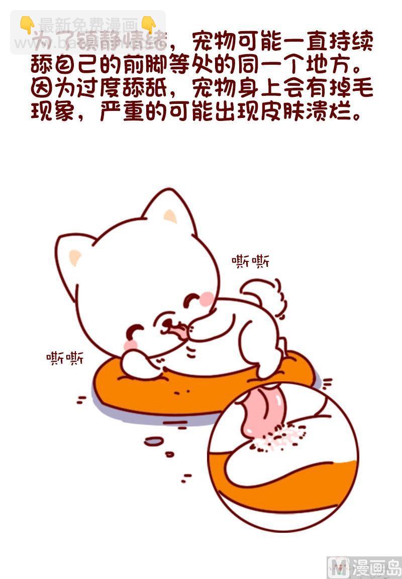 🍜有宠百科 第101话 第7页