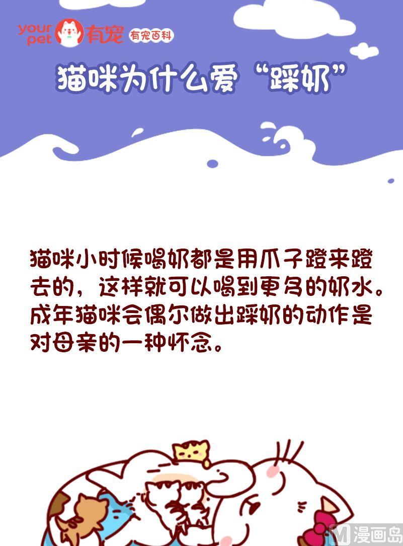 🍜有宠百科 第105话 第1页