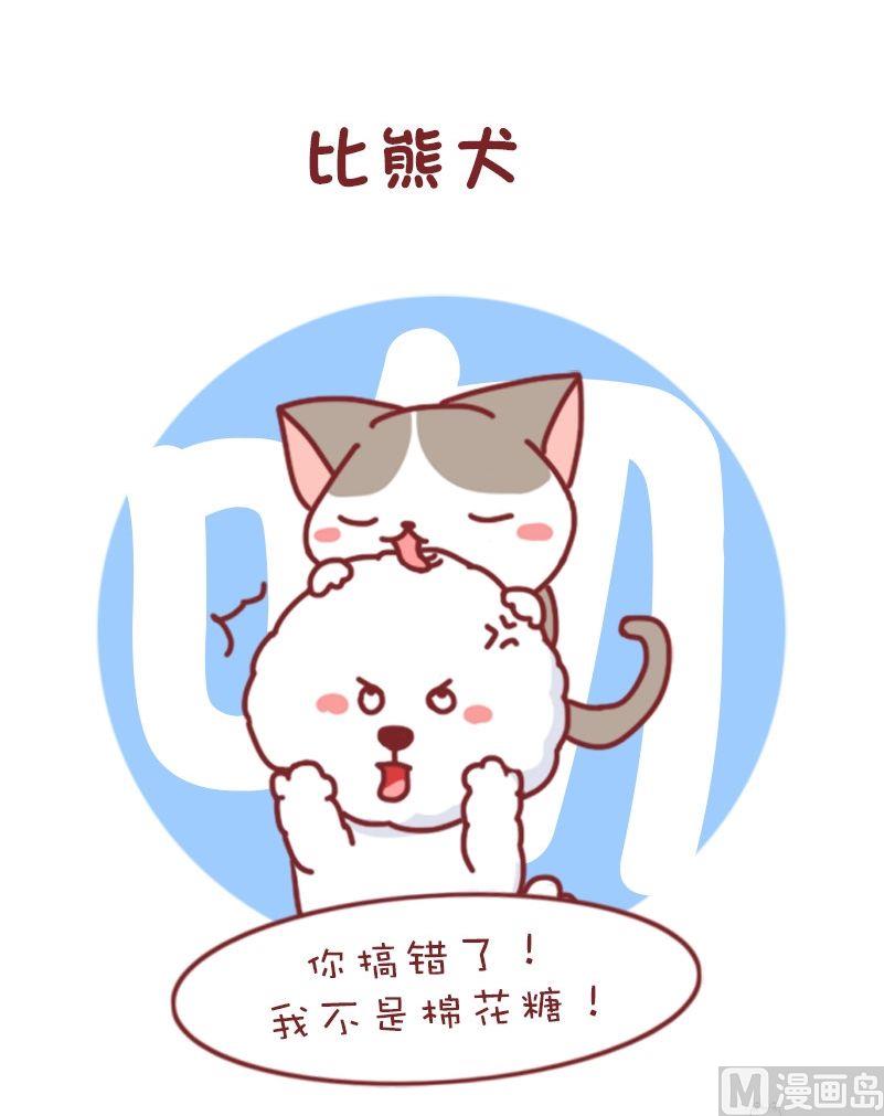🍜有宠百科 第109话 第4页