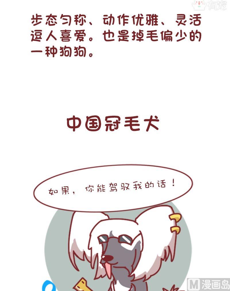 🍜有宠百科 第109话 第5页