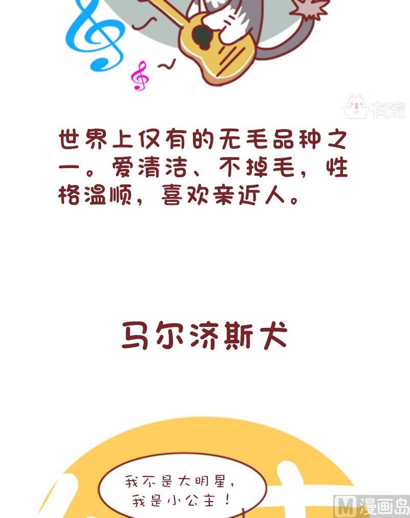 🍜有宠百科 第109话 第6页