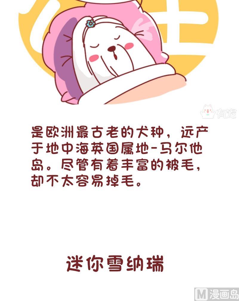 🍜有宠百科 第109话 第7页