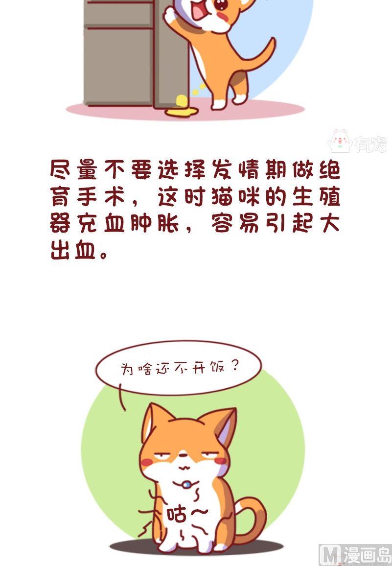 🍜有宠百科 第113话 第3页