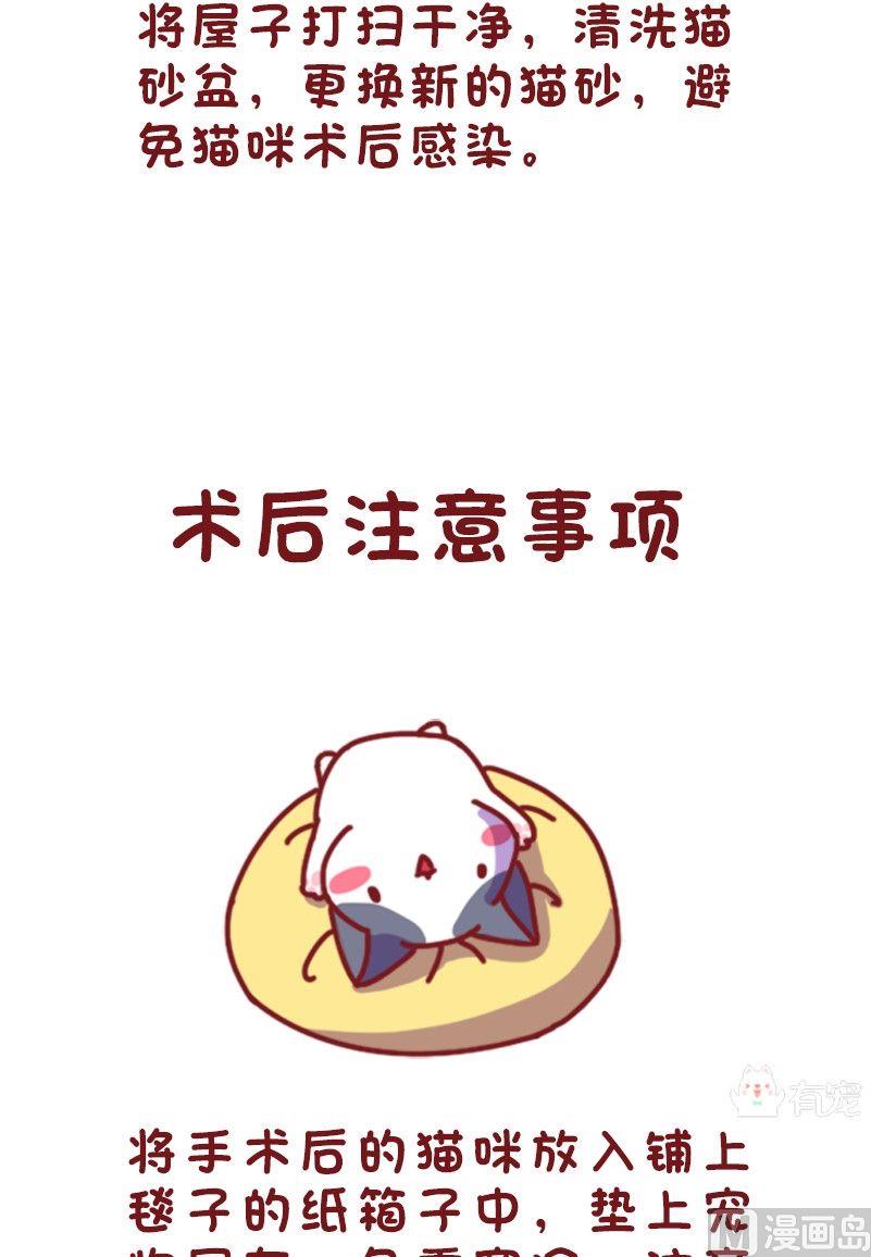 🍜有宠百科 第113话 第5页