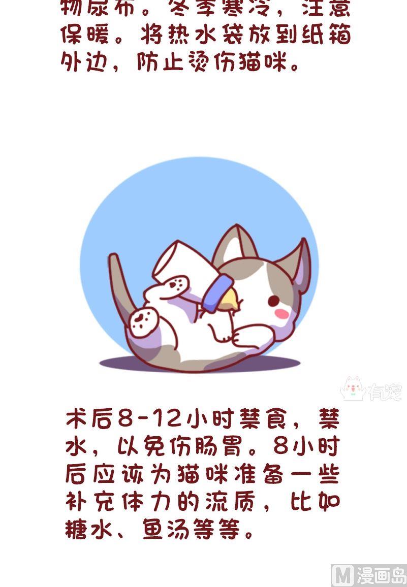 🍜有宠百科 第113话 第6页