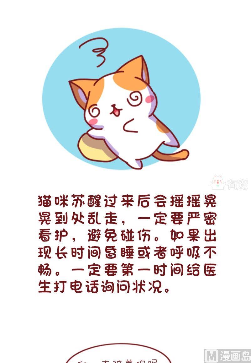 🍜有宠百科 第113话 第7页