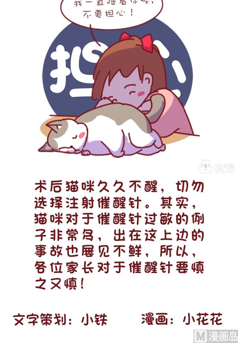 🍜有宠百科 第113话 第8页