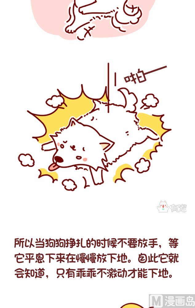 🍜有宠百科 第117话 第3页