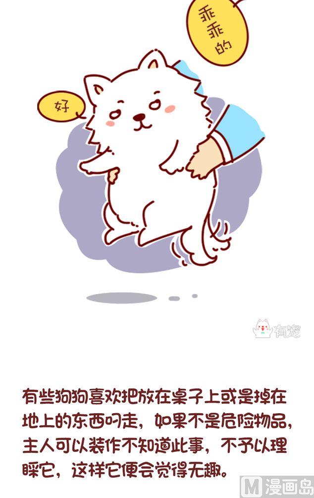 🍜有宠百科 第117话 第4页