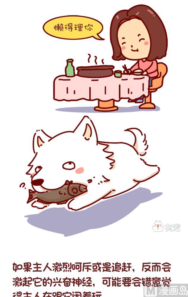 🍜有宠百科 第117话 第5页
