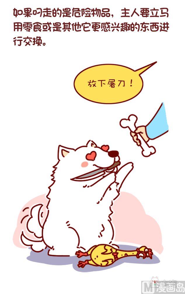 🍜有宠百科 第117话 第7页