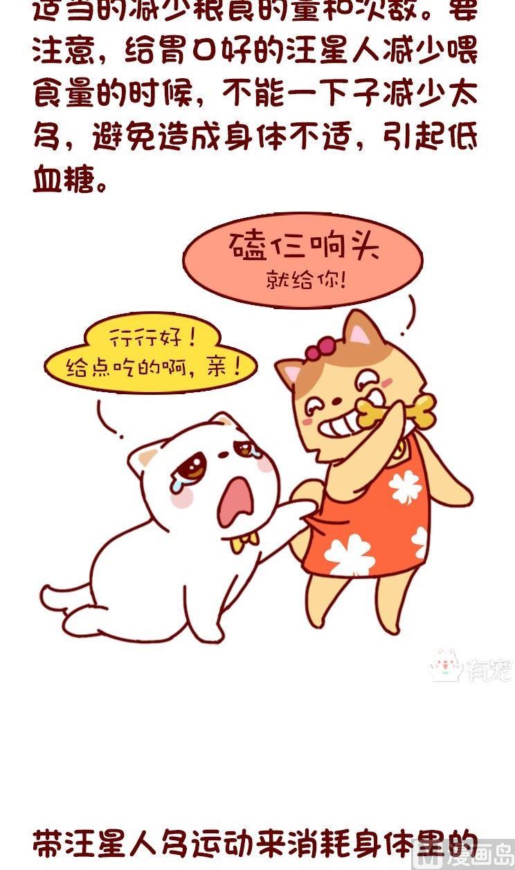 🍜有宠百科 第119话 第8页