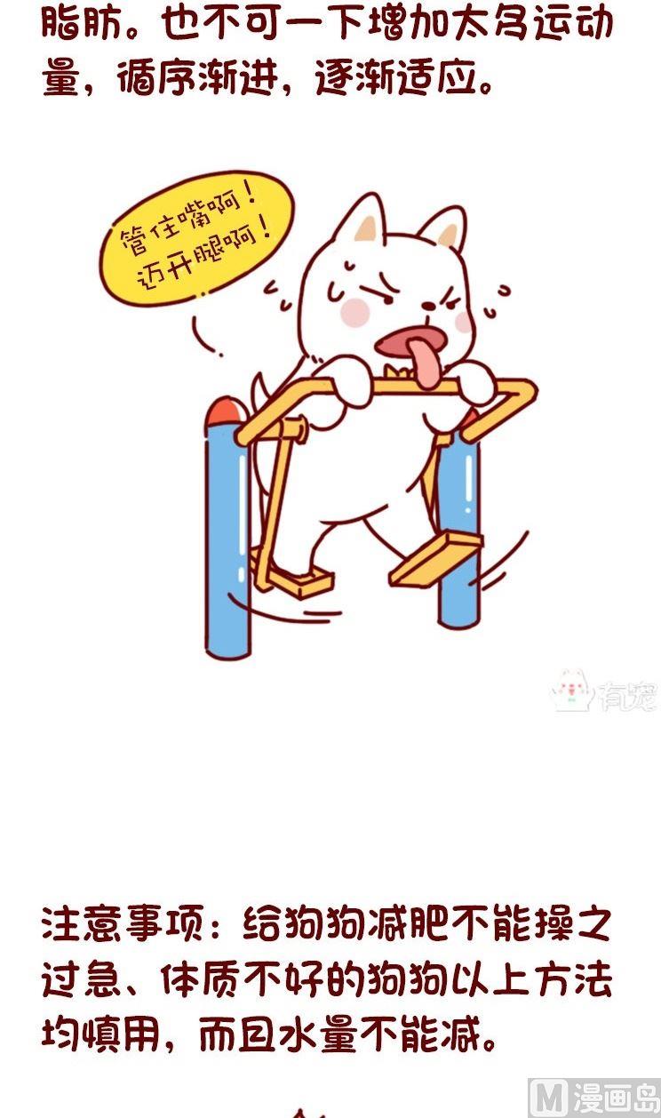🍜有宠百科 第119话 第9页