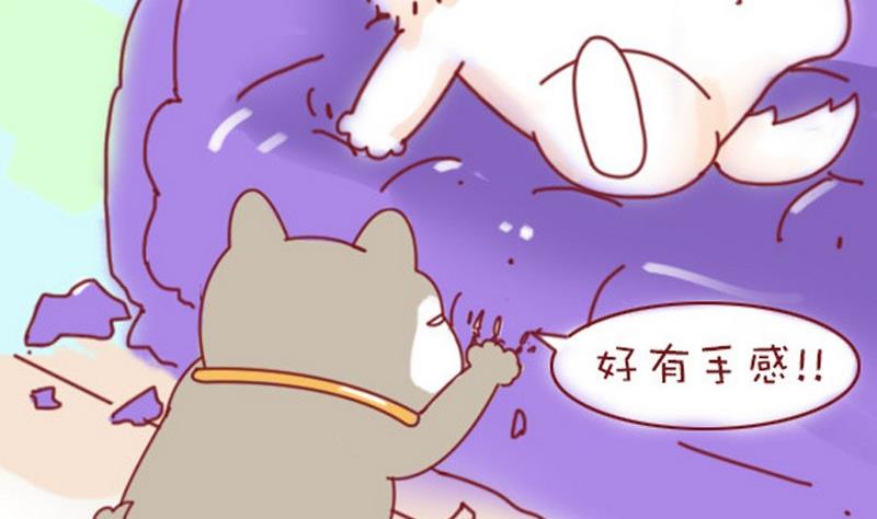 🍜有宠百科 第13话 第10页