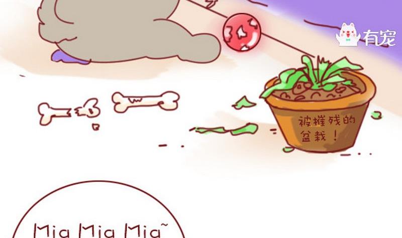 🍜有宠百科 第13话 第11页