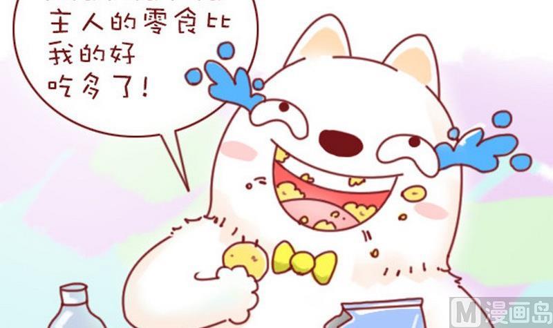 🍜有宠百科 第13话 第12页