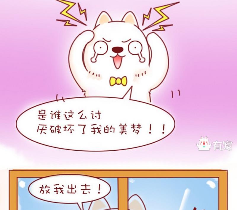 🍜有宠百科 第13话 第16页