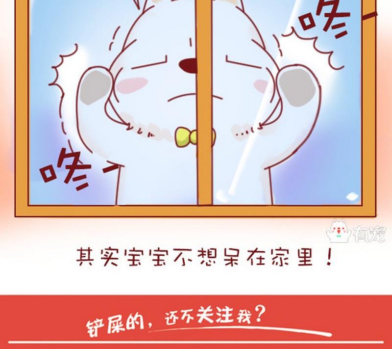 🍜有宠百科 第13话 第17页
