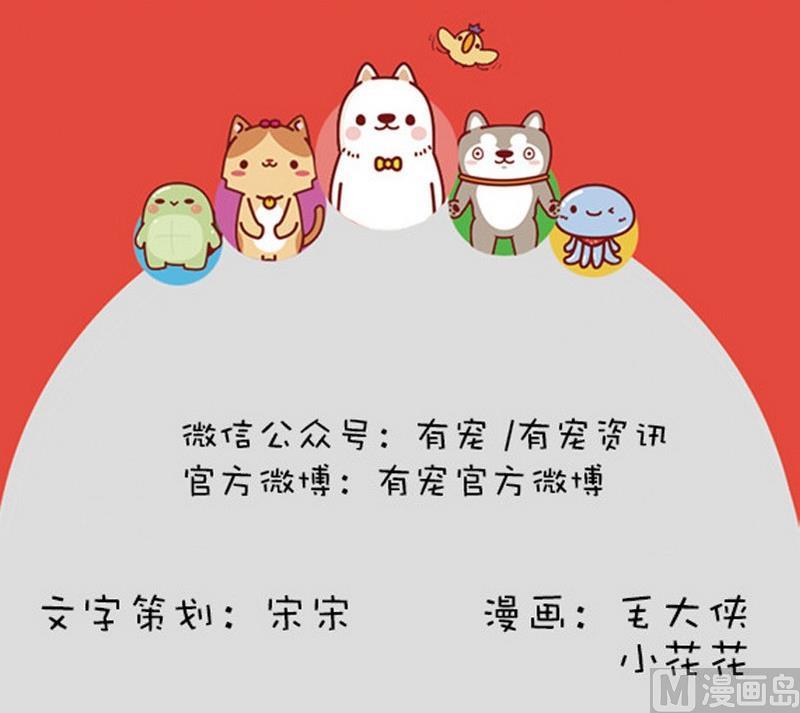🍜有宠百科 第13话 第18页