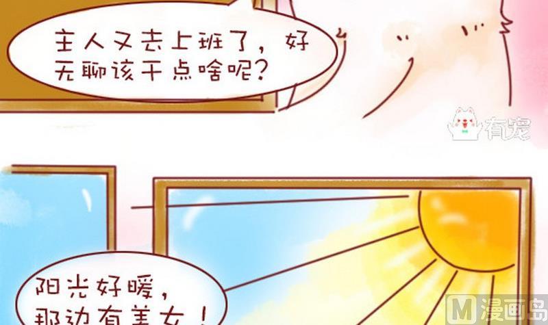 🍜有宠百科 第13话 第3页