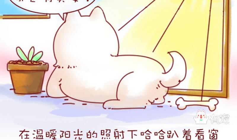 🍜有宠百科 第13话 第4页