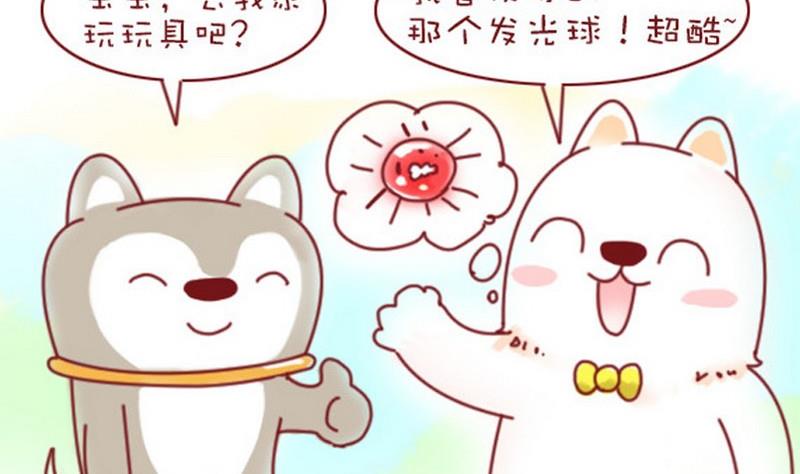 🍜有宠百科 第13话 第8页