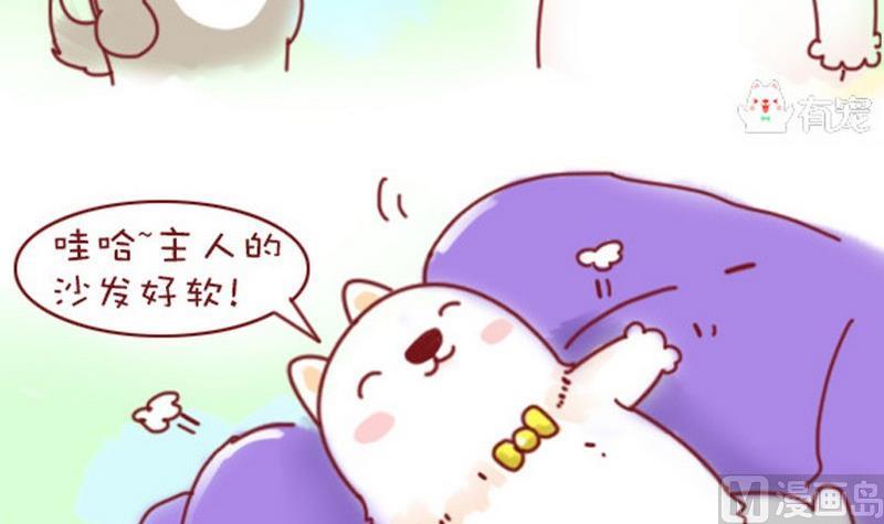 🍜有宠百科 第13话 第9页