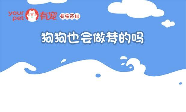 🍜有宠百科 第121话 第1页