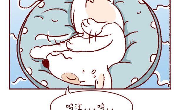 🍜有宠百科 第121话 第13页