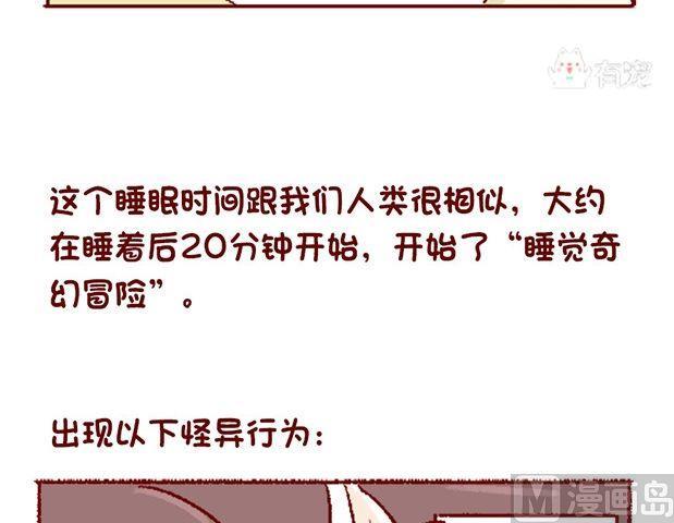 🍜有宠百科 第121话 第18页