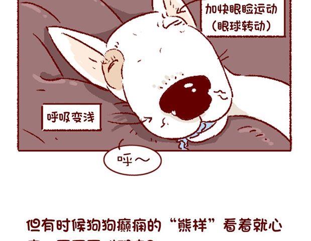 🍜有宠百科 第121话 第19页