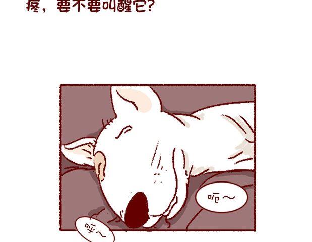 🍜有宠百科 第121话 第20页